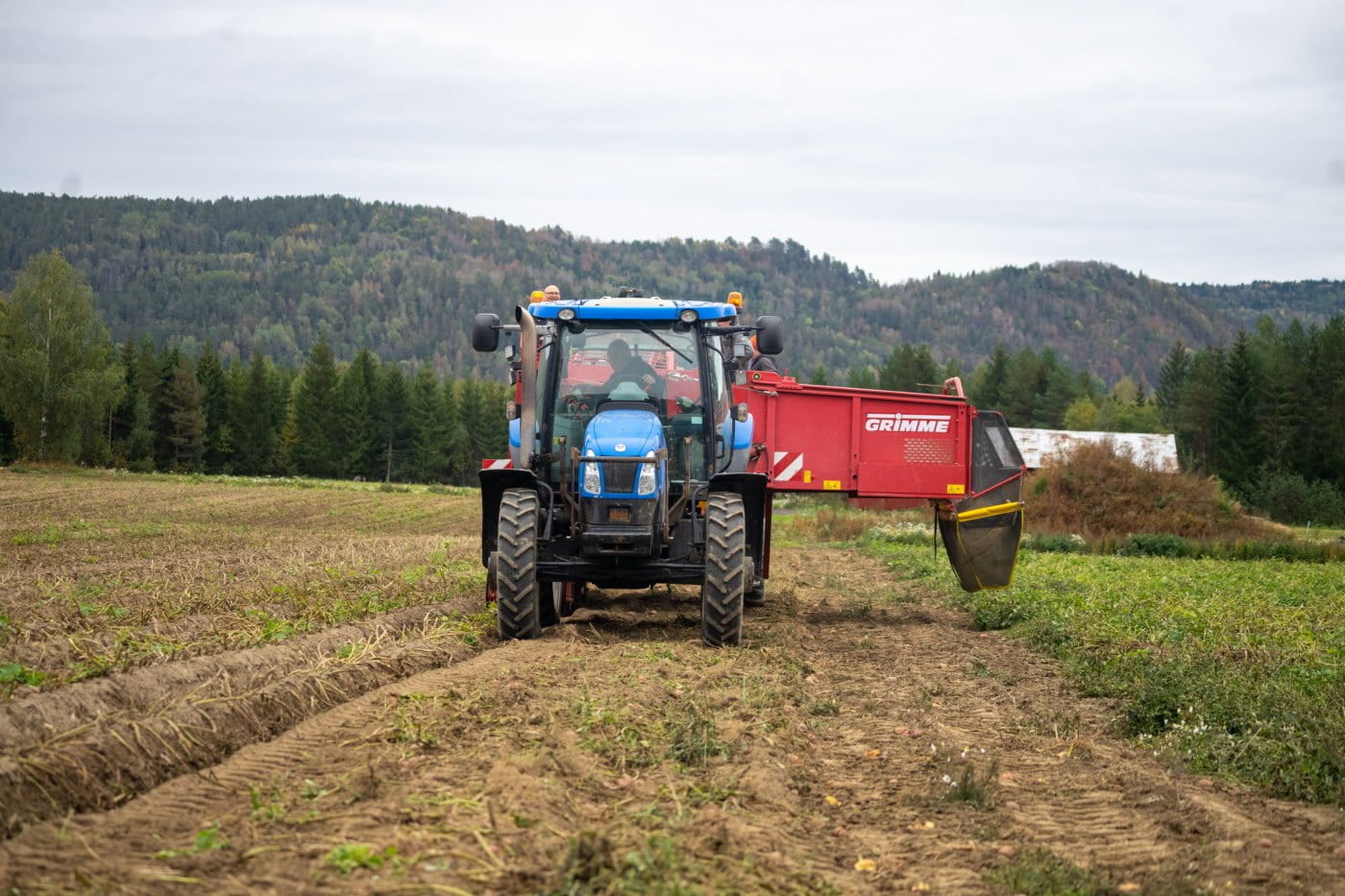 Blå traktor som sår frø på ein åker.