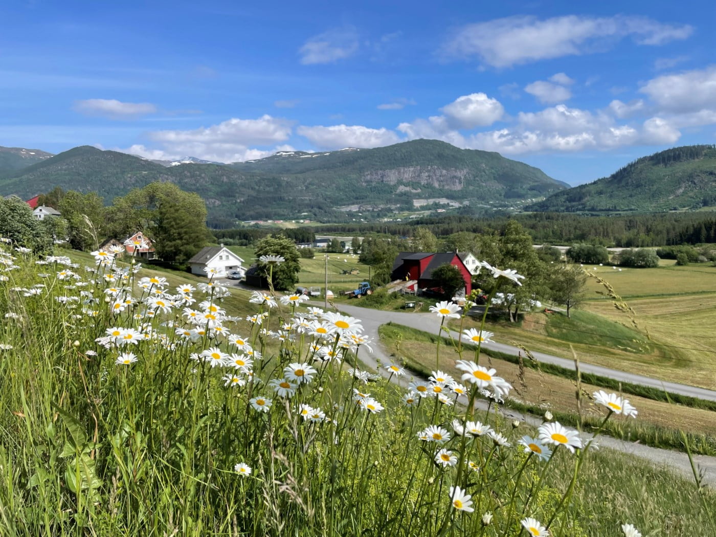 Tjukkabygda mot Horndalsnuten