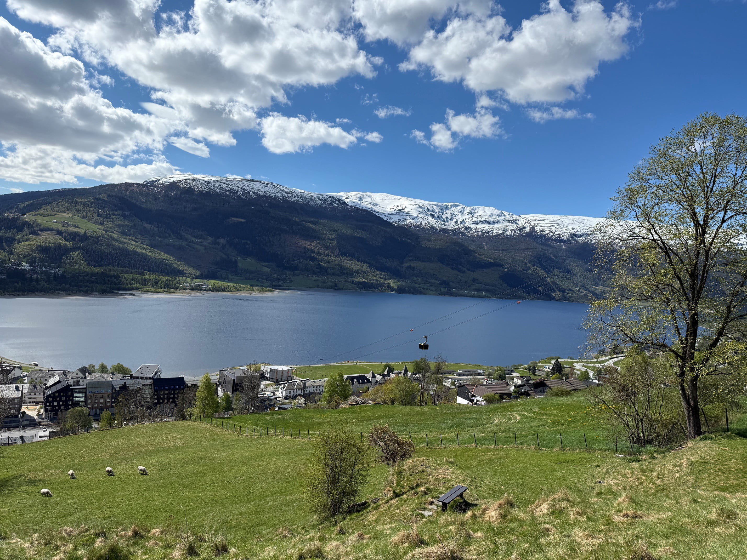 Tjukkabygda mot Horndalsnuten